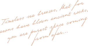 https://magical-albattani.132-148-79-197.plesk.page/wp-content/uploads/2020/10/floating_image_02.png