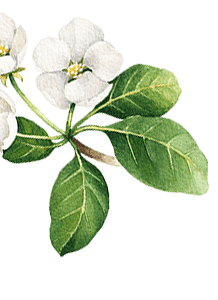 https://magical-albattani.132-148-79-197.plesk.page/wp-content/uploads/2020/10/floating_image_09.png