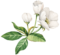 https://magical-albattani.132-148-79-197.plesk.page/wp-content/uploads/2020/10/floating_image_10.png
