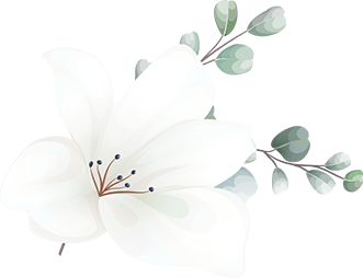 https://magical-albattani.132-148-79-197.plesk.page/wp-content/uploads/2020/12/floating_image_16.png