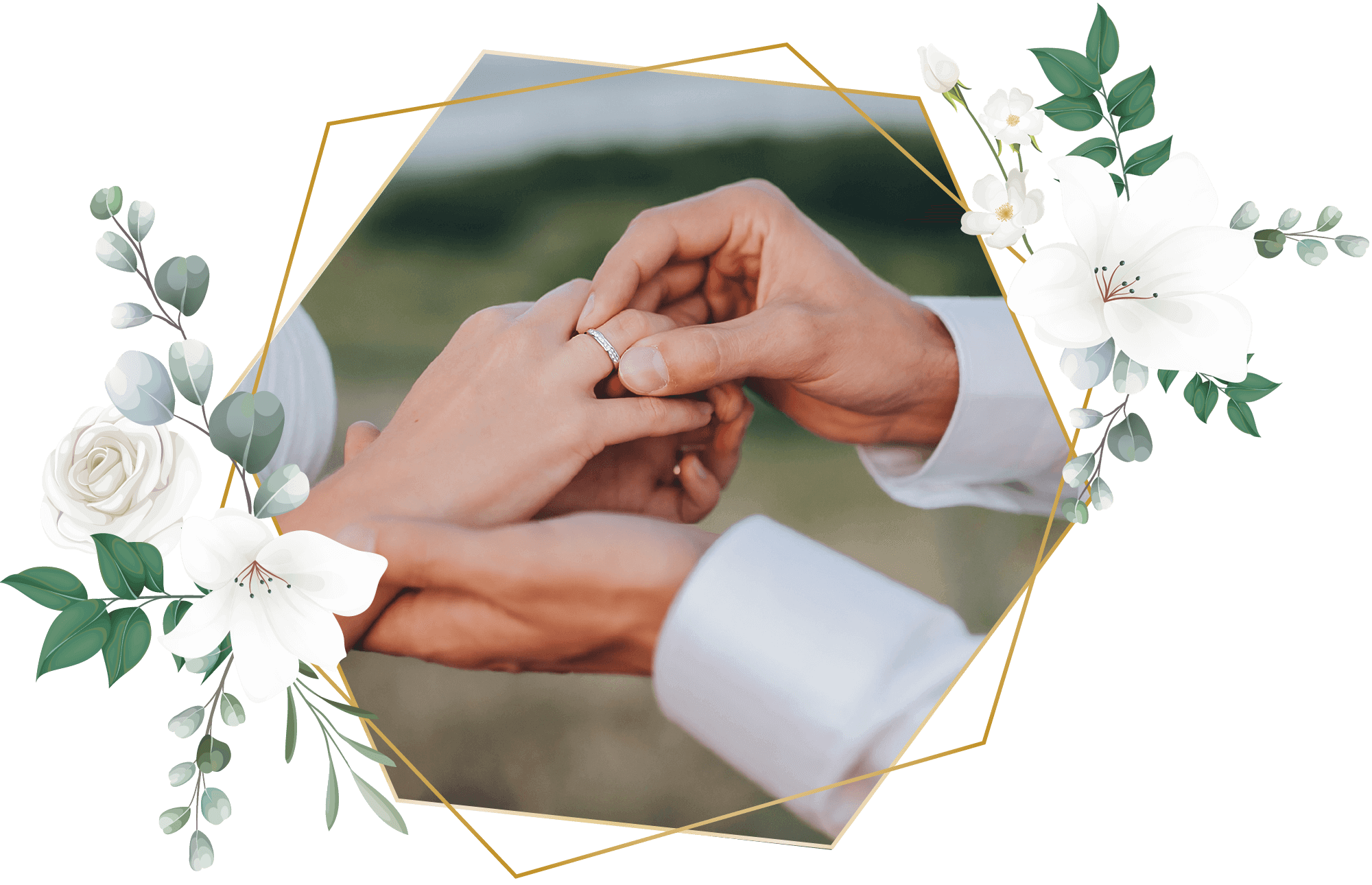 https://magical-albattani.132-148-79-197.plesk.page/wp-content/uploads/2020/12/flower_timeline.png